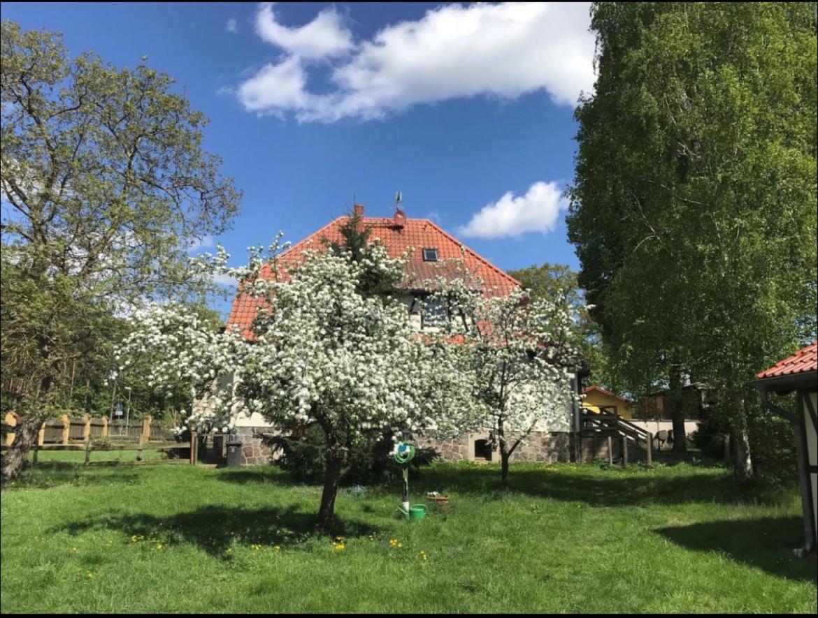 Hof Lillge Apartment Schorfheide Bagian luar foto