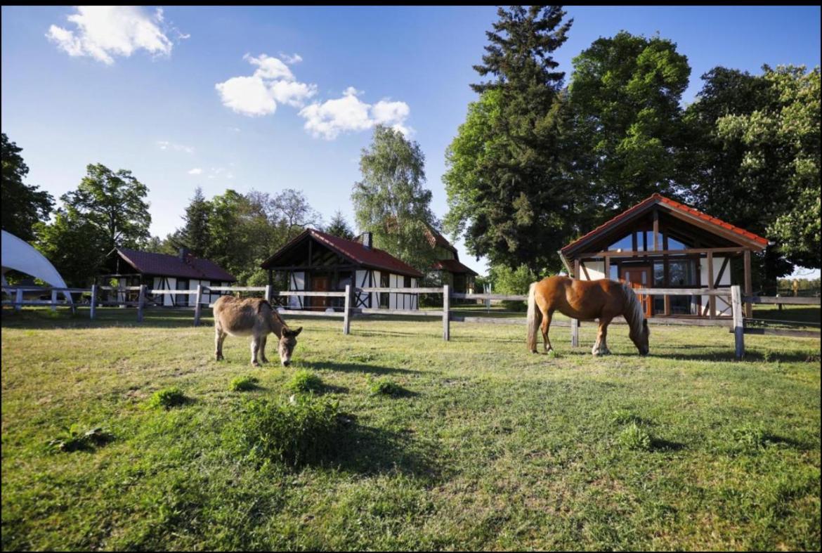 Hof Lillge Apartment Schorfheide Bagian luar foto